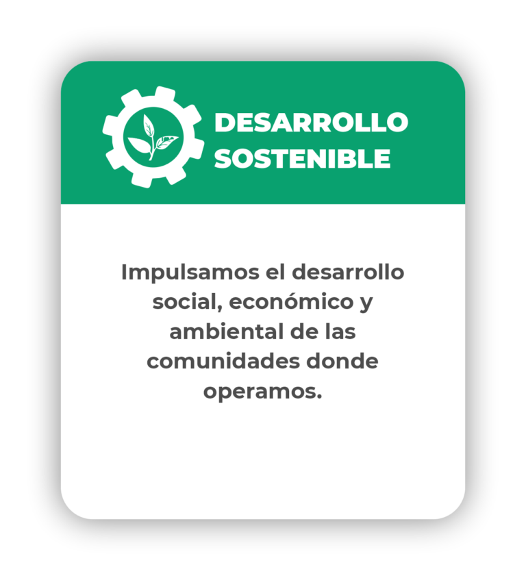 desarrollo